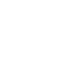 Bella + Canvas